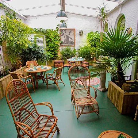 Bed & Breakfast Jardin D'hiver De 70 M2 Cassel