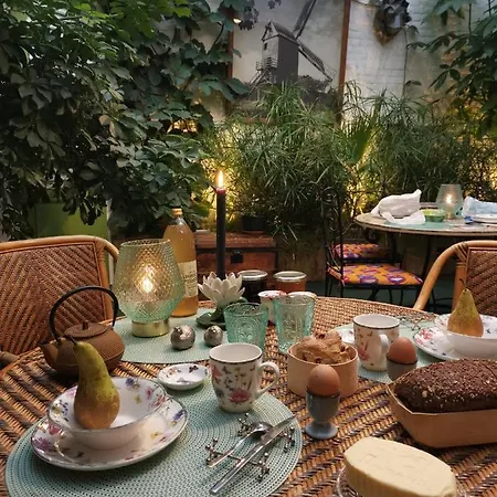 Bed & Breakfast Jardin D'hiver De 70 M2 Cassel