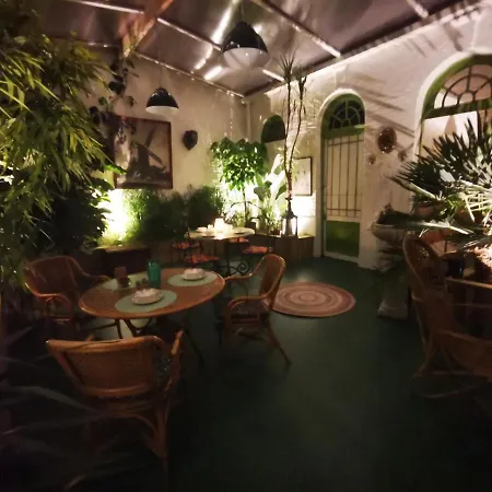Couette-café Jardin D'hiver