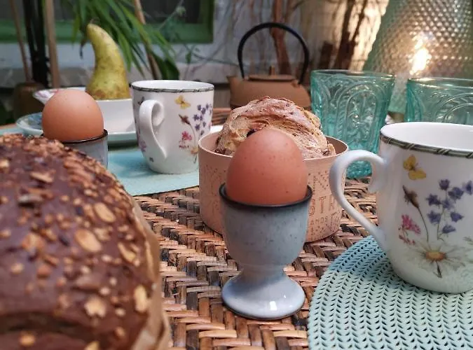 Bed & Breakfast Jardin D'hiver De 70 M2