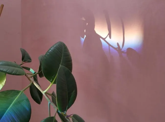 Jardin D'hiver De 70 M2 Bed & Breakfast 2*